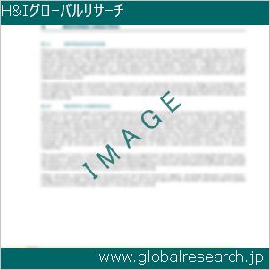 グローバルリサーチ調査レポートのイメージ